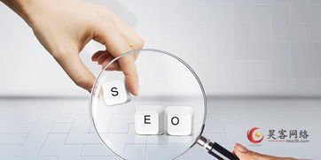 深圳龙华网络推广与信息技术咨询服务全解析