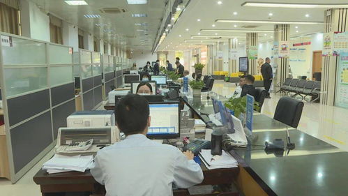 区便民服务中心荣获“广东省青年文明号”称号，信息系统集成服务再上新台阶